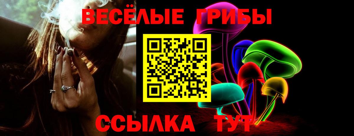 Псилоцибиновые грибы Psilocybine cubensis  Вход с VPN  Миасс 